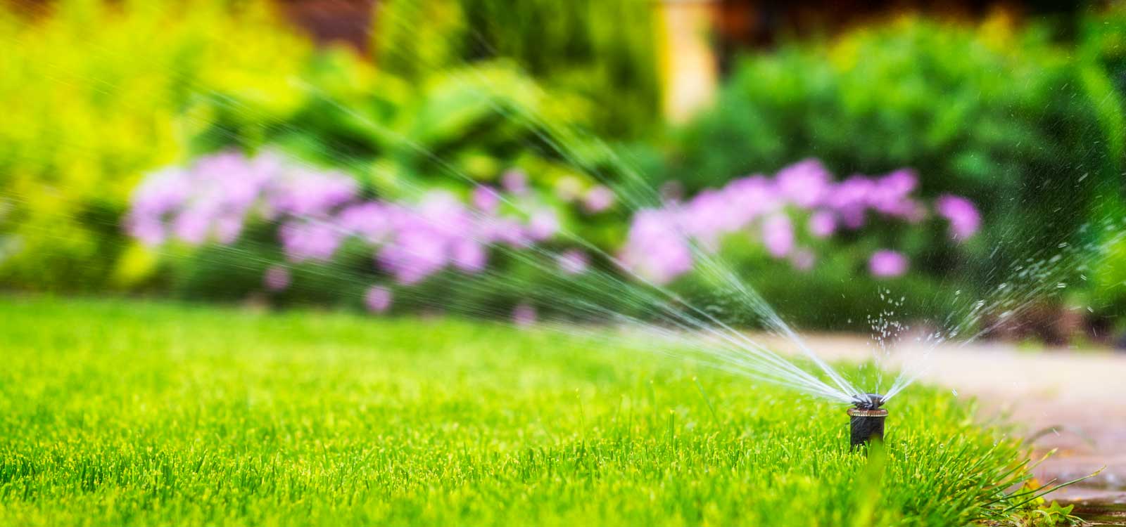 Lawn Watering Guide – Quench Your Lawn’s Thirst