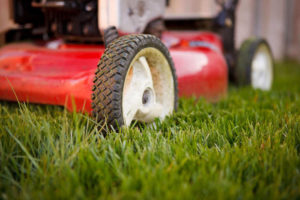 Mowing grass to prevent crabgrass and weeds.