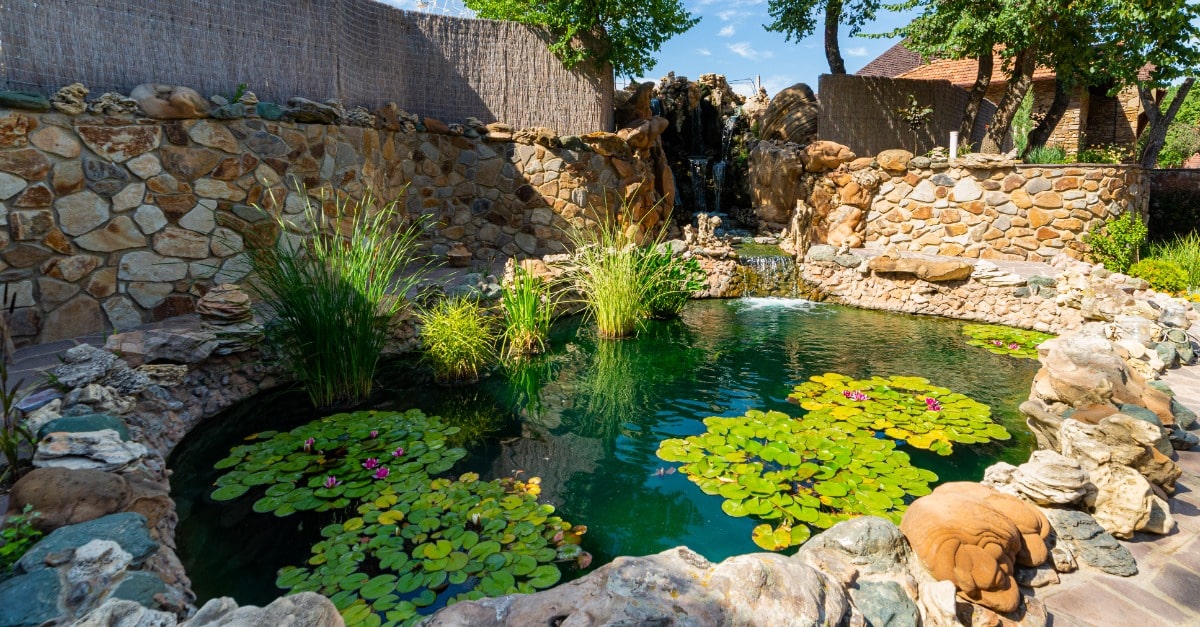 5 Steps to Control Mosquito Populations in Your Pond