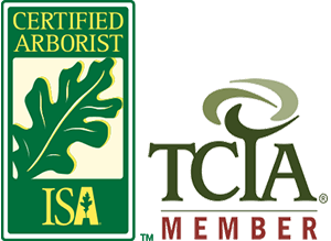 ISA TCIA Member Icons