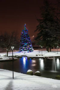 senske holiday lighting christmas tree