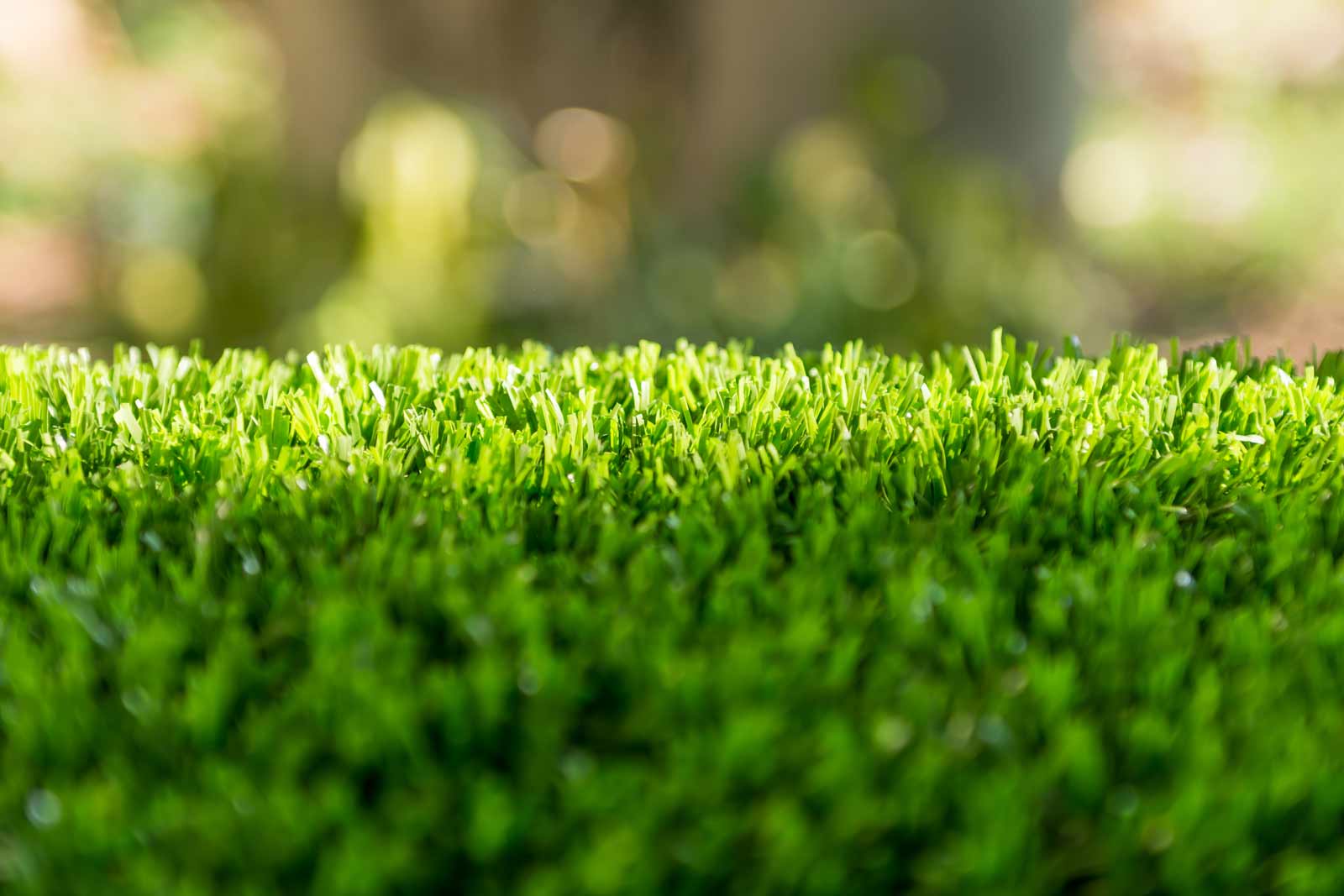 Benefits of Turf Grass